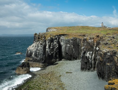 Isle of May photography trip